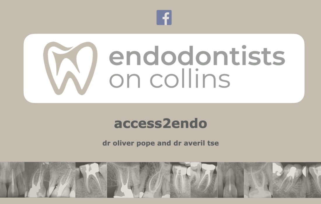 Access2Endo group.001